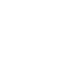 Trust Shield Icon