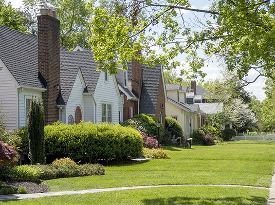 Neighborhood houses 